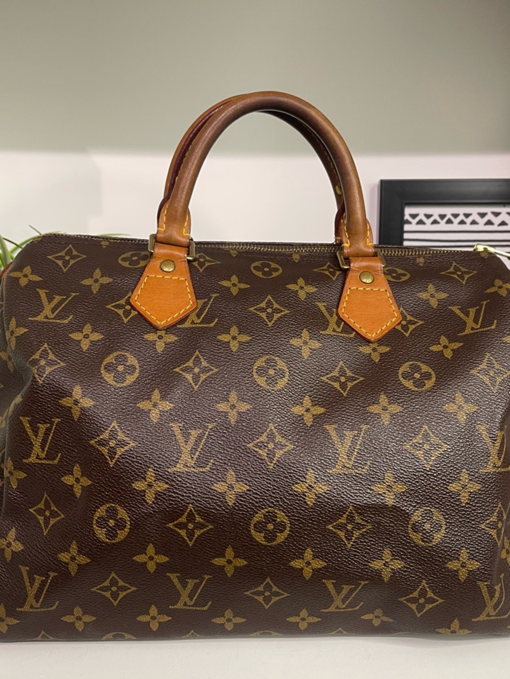 Louis Vuitton Monogram Speedy 30